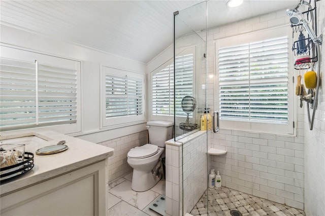 bathroom featuring tile walls, vanity, toilet, and an enclosed shower