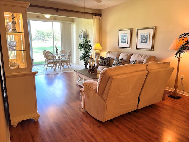 living room with wood-type flooring