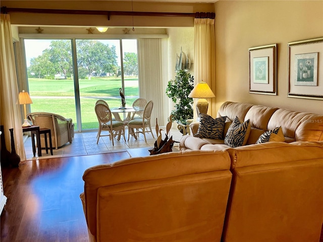 living room featuring hardwood / wood-style floors