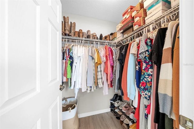 spacious closet with hardwood / wood-style flooring