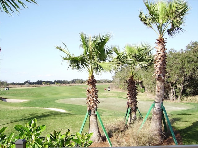 view of property's community featuring a yard