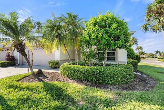 view of property hidden behind natural elements featuring a garage