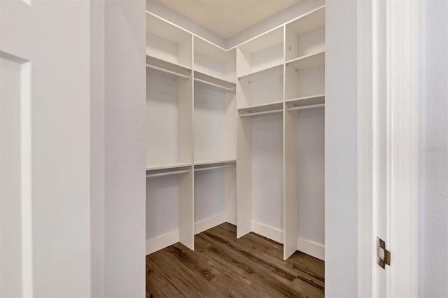 walk in closet with dark hardwood / wood-style flooring