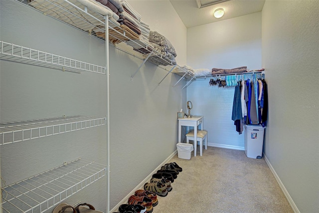 spacious closet with carpet flooring