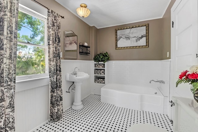 bathroom featuring a bathing tub