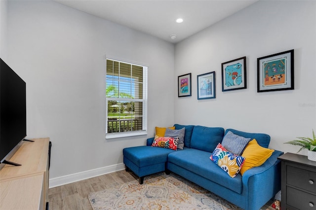 living room featuring light hardwood / wood-style floors