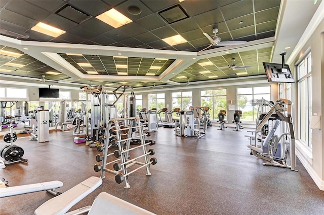 exercise room featuring a drop ceiling and ceiling fan