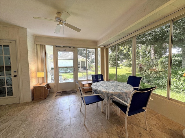 sunroom featuring ceiling fan and a wealth of natural light