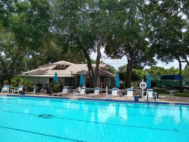 view of swimming pool with a patio