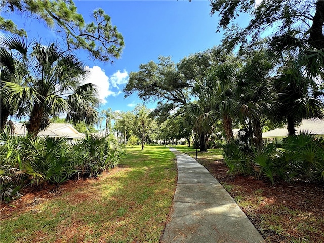 view of property's community featuring a yard