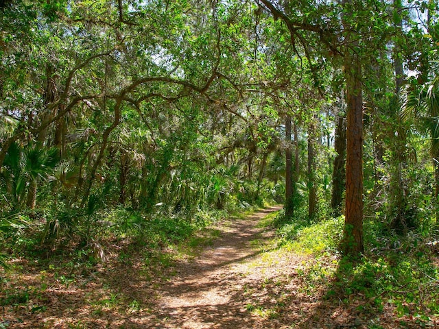 3309 Highlands Bridge Rd Unit 58, Sarasota, FL 34235 - view of local wilderness with a wooded view