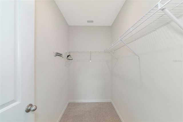 walk in closet featuring carpet flooring