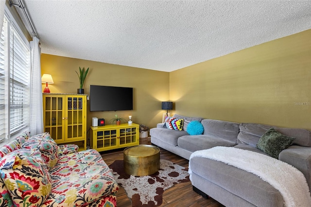 living room with a textured ceiling, dark hardwood / wood-style flooring, and a wealth of natural light