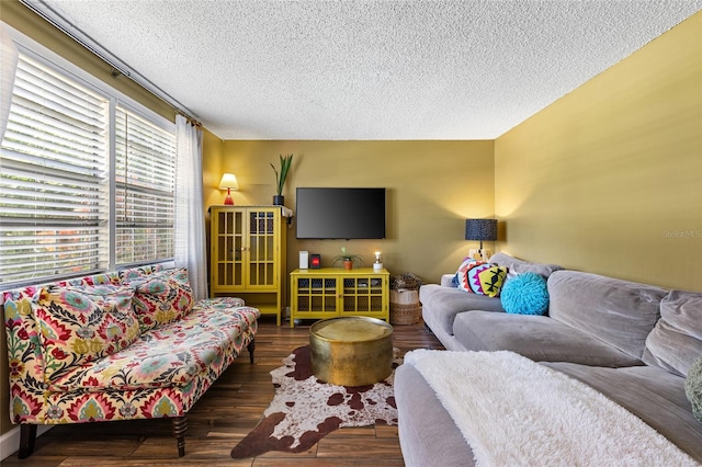 living room featuring a textured ceiling and dark wood-type flooring