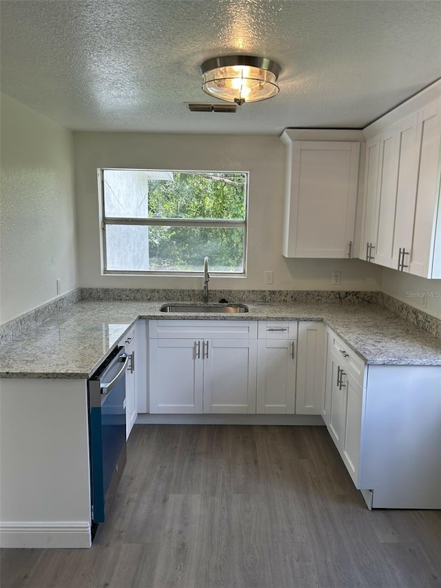 kitchen with white cabinets, light stone counters, dark wood-type flooring, and sink