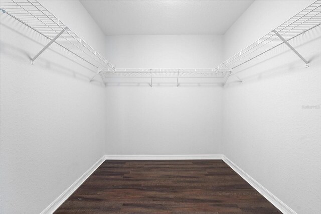 spacious closet featuring dark hardwood / wood-style flooring