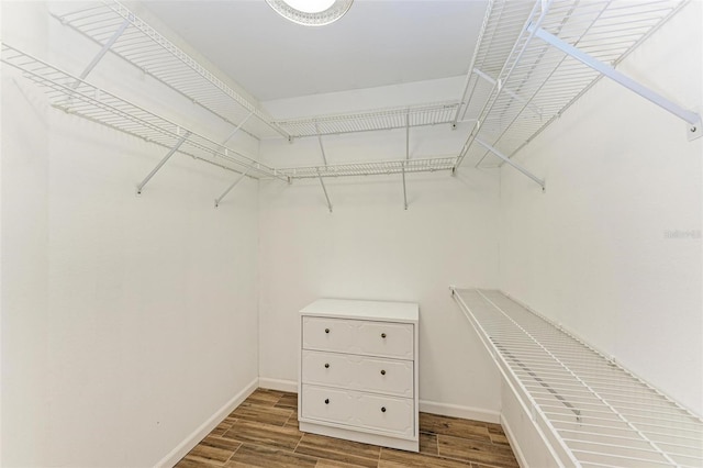 spacious closet featuring hardwood / wood-style floors