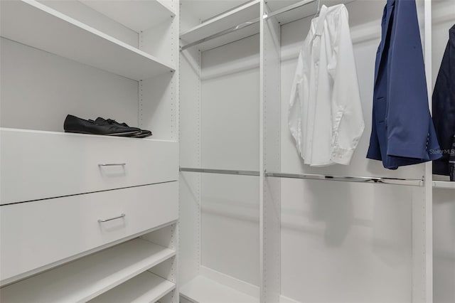 view of walk in closet