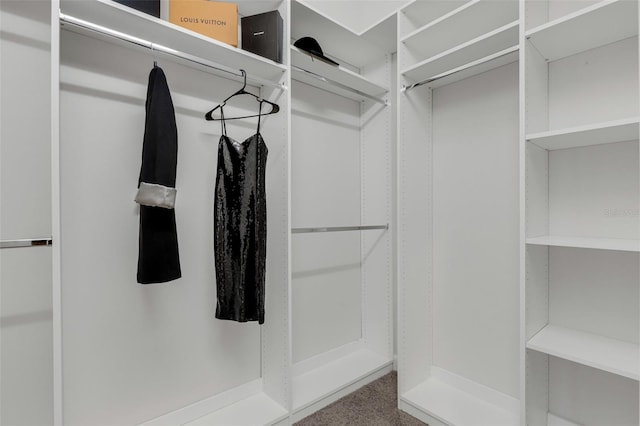 view of walk in closet