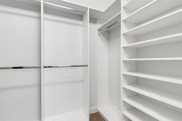 view of walk in closet