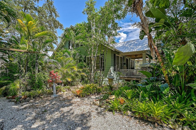 1677 4th St, Sarasota, FL 34236 - view of yard