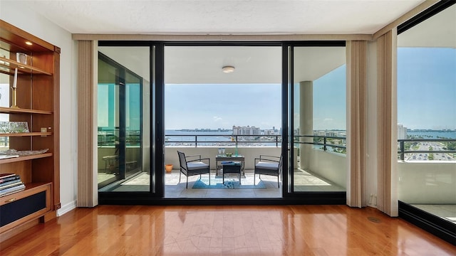 doorway featuring a healthy amount of sunlight, a water view, and hardwood / wood-style floors