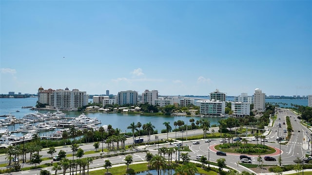 bird's eye view with a water view