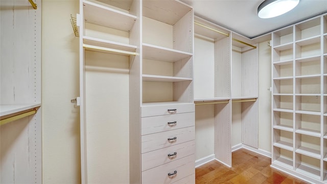 walk in closet with light hardwood / wood-style floors