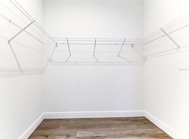 spacious closet with hardwood / wood-style floors