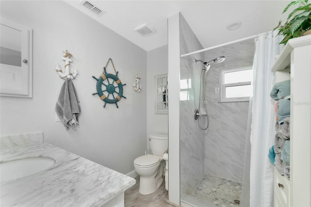 bathroom with vanity, toilet, and a shower with shower curtain