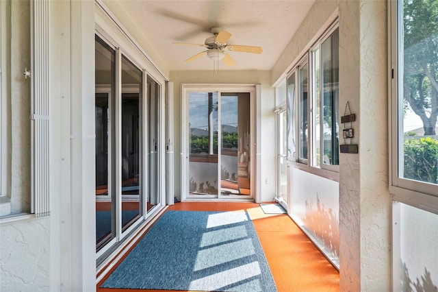 sunroom / solarium featuring a wealth of natural light and ceiling fan