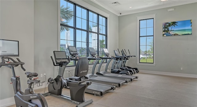 workout area featuring plenty of natural light and crown molding