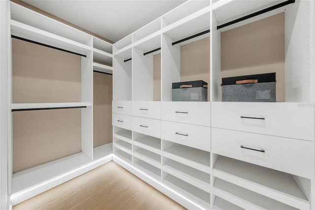 walk in closet featuring hardwood / wood-style flooring