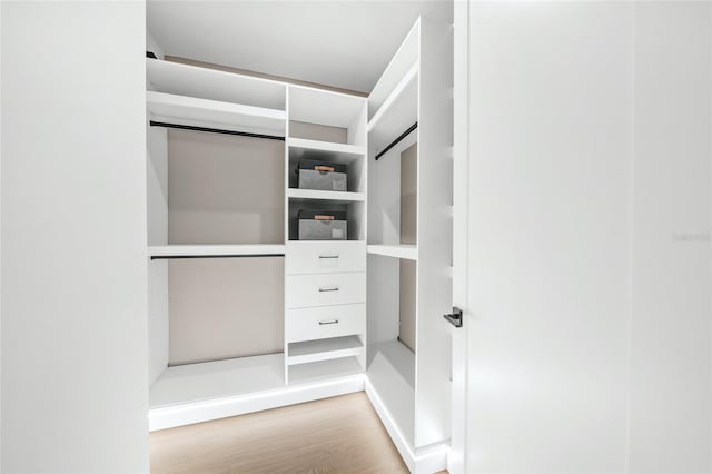 spacious closet featuring light hardwood / wood-style flooring