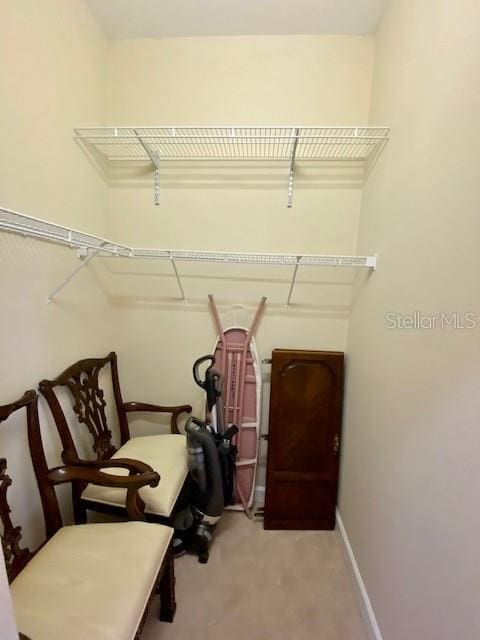 spacious closet with light carpet