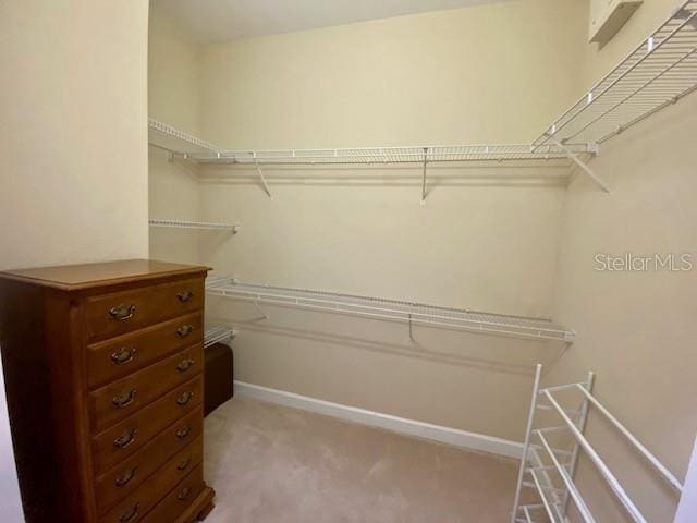 spacious closet with light colored carpet