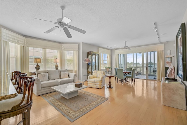 living room with light hardwood / wood-style flooring, ceiling fan, and a wealth of natural light