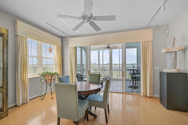 dining room with light hardwood / wood-style floors, ceiling fan, and a wealth of natural light