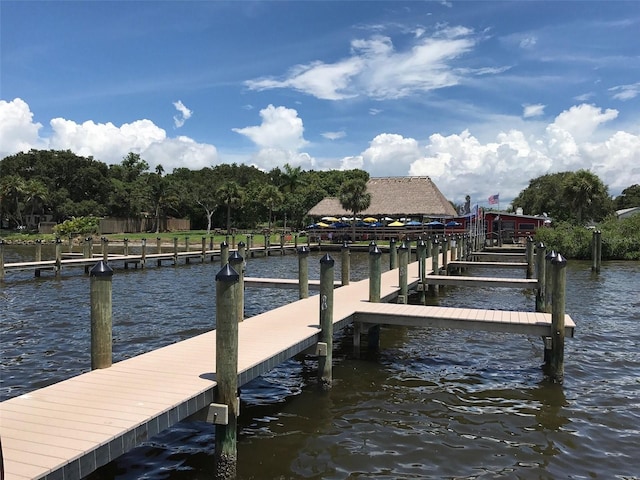 dock area with a water view