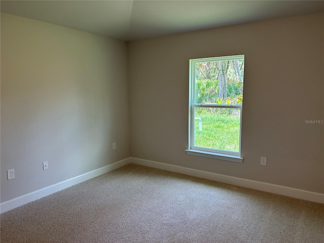 5661 Gaffney Rd, North Port, FL 34286 - empty room featuring carpet and plenty of natural light