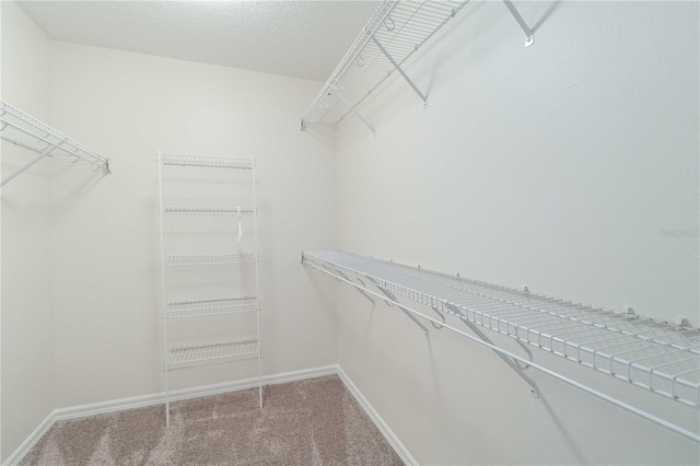 spacious closet with carpet