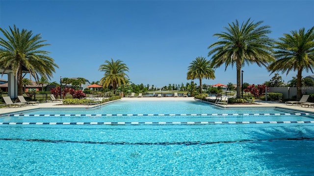 view of swimming pool