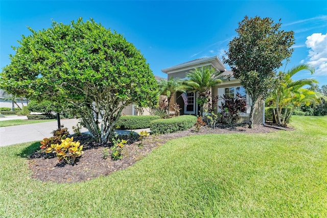 view of property hidden behind natural elements with a front yard