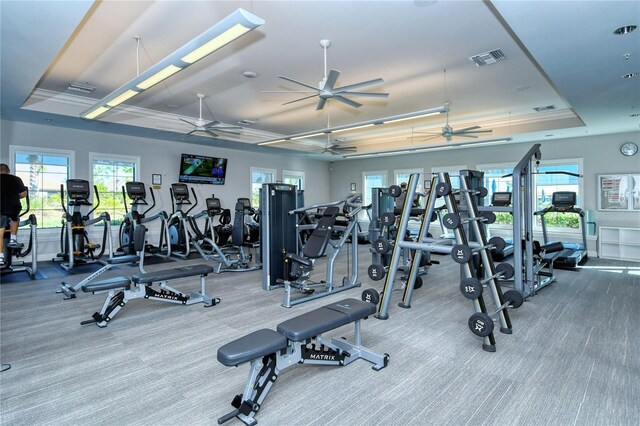 workout area featuring carpet floors, a tray ceiling, and ceiling fan