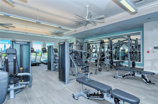 workout area with crown molding, carpet flooring, and ceiling fan