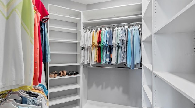 view of walk in closet