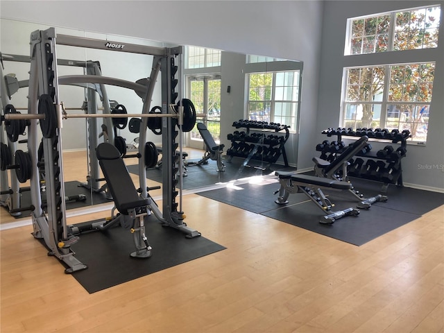 workout area with hardwood / wood-style floors