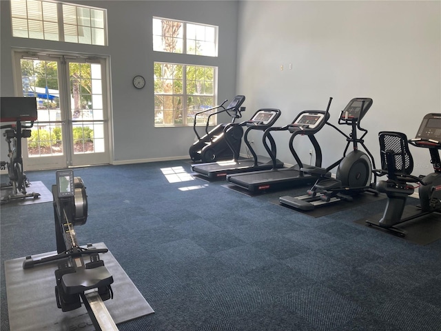 workout area featuring a high ceiling and a wealth of natural light