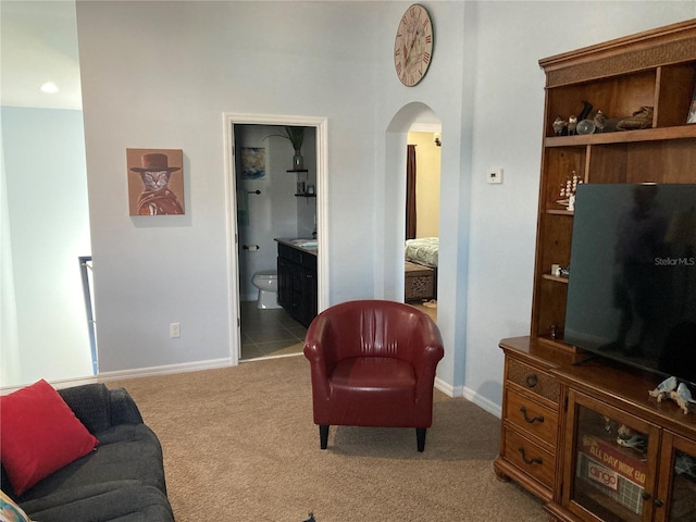 view of carpeted living room