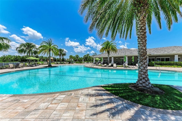 3360 Chestertown Loop, Bradenton, FL 34211 - pool with a patio